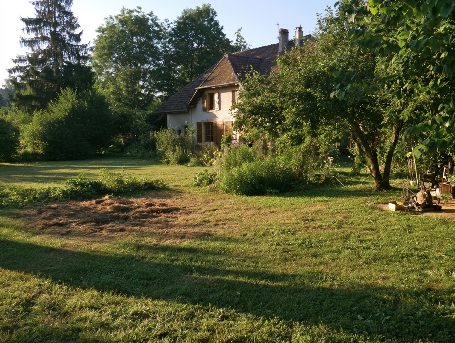 Terrain degage apres abattage — paysagiste en Haute-Saône (70)