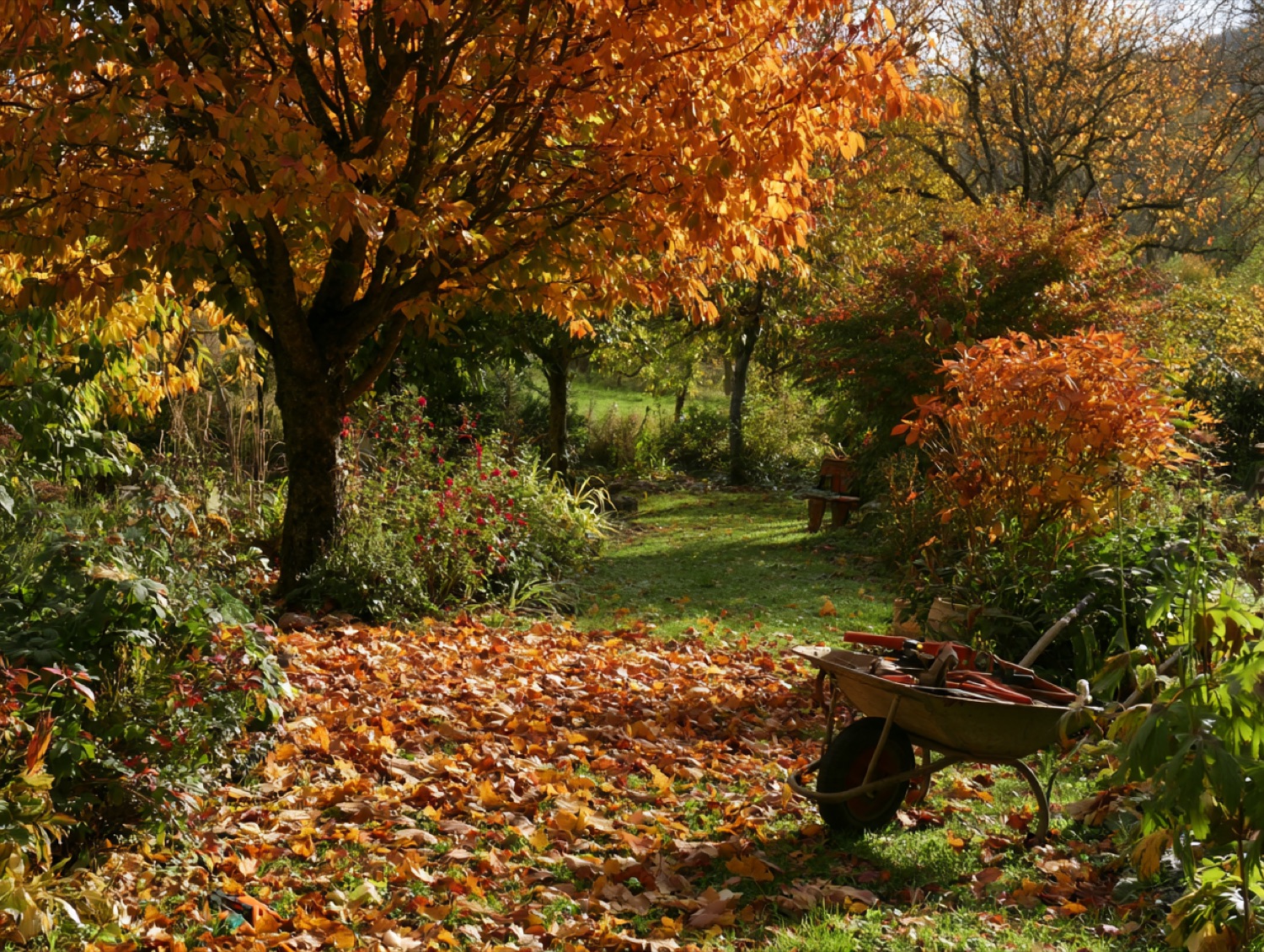 Jardin campagne couleurs automne — paysagiste en Haute-Saône (70)