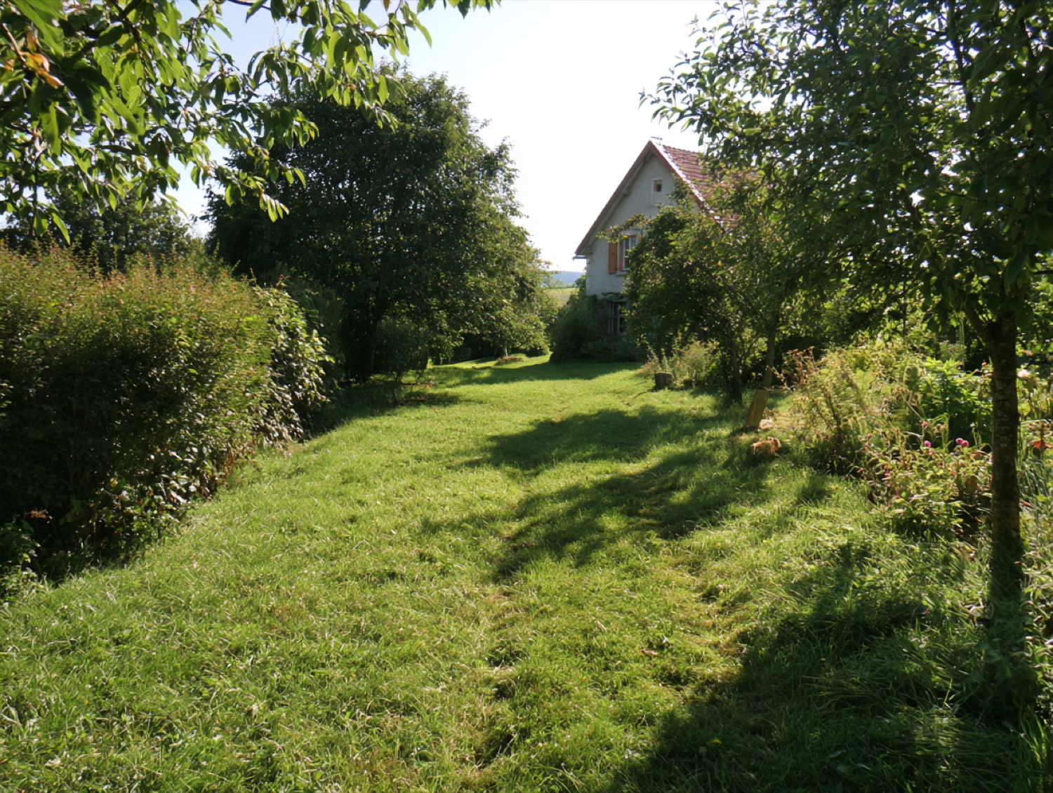 Jardin remis en etat debroussaillage — paysagiste en Haute-Saône (70)