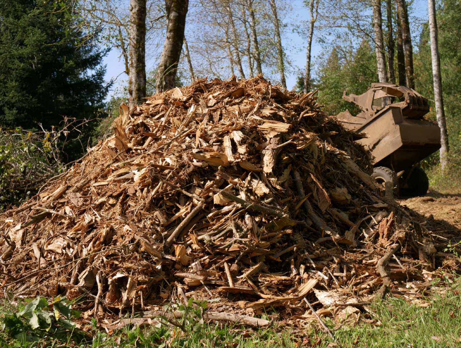 Tas broyat branches recyclage — paysagiste en Haute-Saône (70)